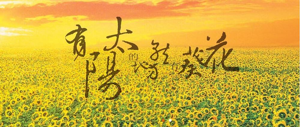 葵花药业实控人被捕收关注函 要求说明是否影响公司控制权