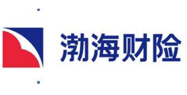 近4年一直亏损 渤海财险拟募资不超10亿补血续命