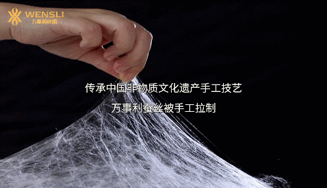 万事利新品发布：G20升级版金标纯蚕丝被