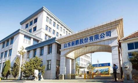 丽鹏股份高管汤于因超比例减持股份未信披被罚70万元