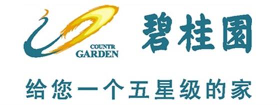碧桂园（02007）业绩披露：前9个月权益销售额超4229亿