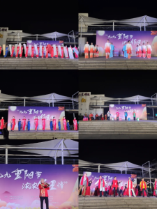 中奥物业在杭州一小区举办重阳节文艺汇演：尊老敬老 和谐邻里