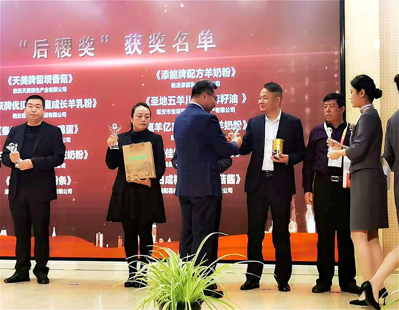 图片10