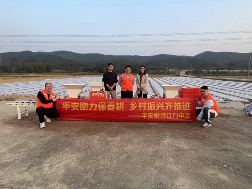 平安产险江门中心支公司：多举并施，为恩平春耕“保驾护航”
