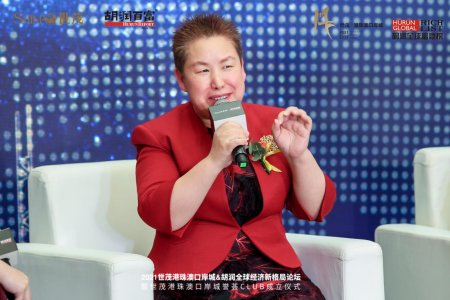 小小世界集团主席万玉华与胡润论道财富新风口
