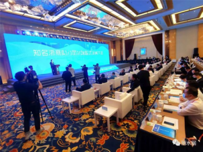 万事利董事长屠红燕参加助力丽水跨越式发展大会