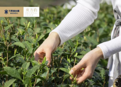 万事利春茶礼系列：借方寸礼盒，饰东方韵味