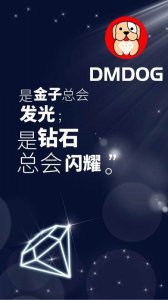 来自新加坡的币圈新宠DMDOG钻石狗，Facebook也入股